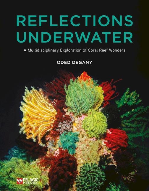 Cover: 9781784274139 | Reflections Underwater | Oded Degany | Buch | Englisch | 2023
