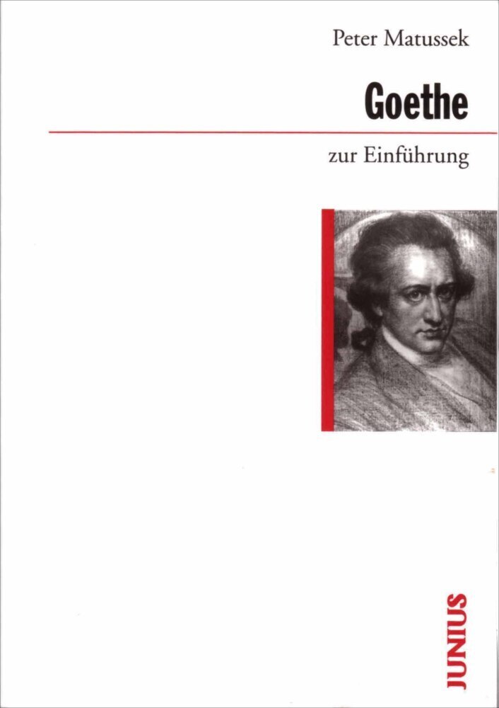 Cover: 9783885069720 | Goethe zur Einführung | Peter Matussek | Taschenbuch | Deutsch | 2002