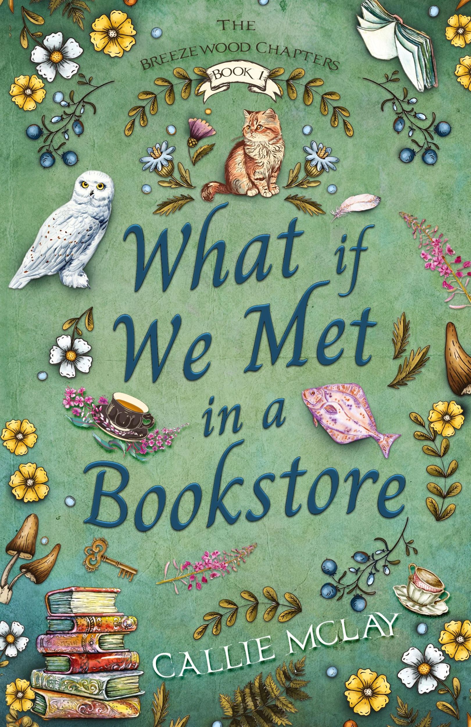 Cover: 9798989967001 | What If We Met In A Bookstore | Callie McLay | Taschenbuch | Paperback