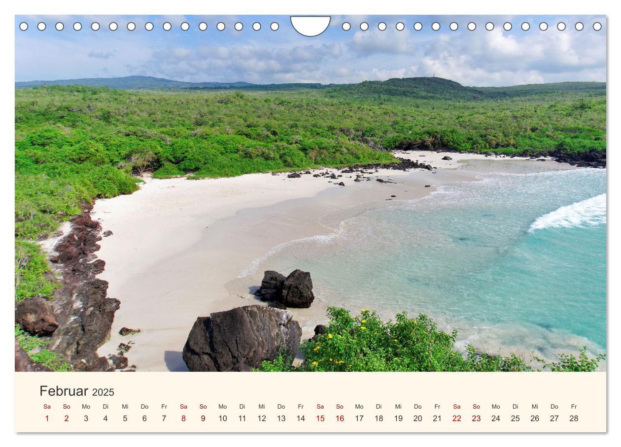 Bild: 9783435405701 | Entdecke Ecuador (Wandkalender 2025 DIN A4 quer), CALVENDO...