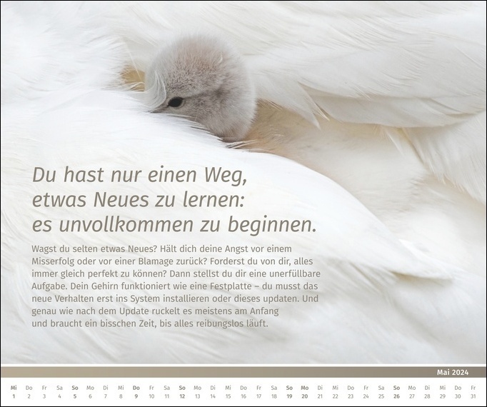 Bild: 9783840196027 | PAL-Lebensfreude-Inspirationen-Kalender 2024: Wandkalender zum...