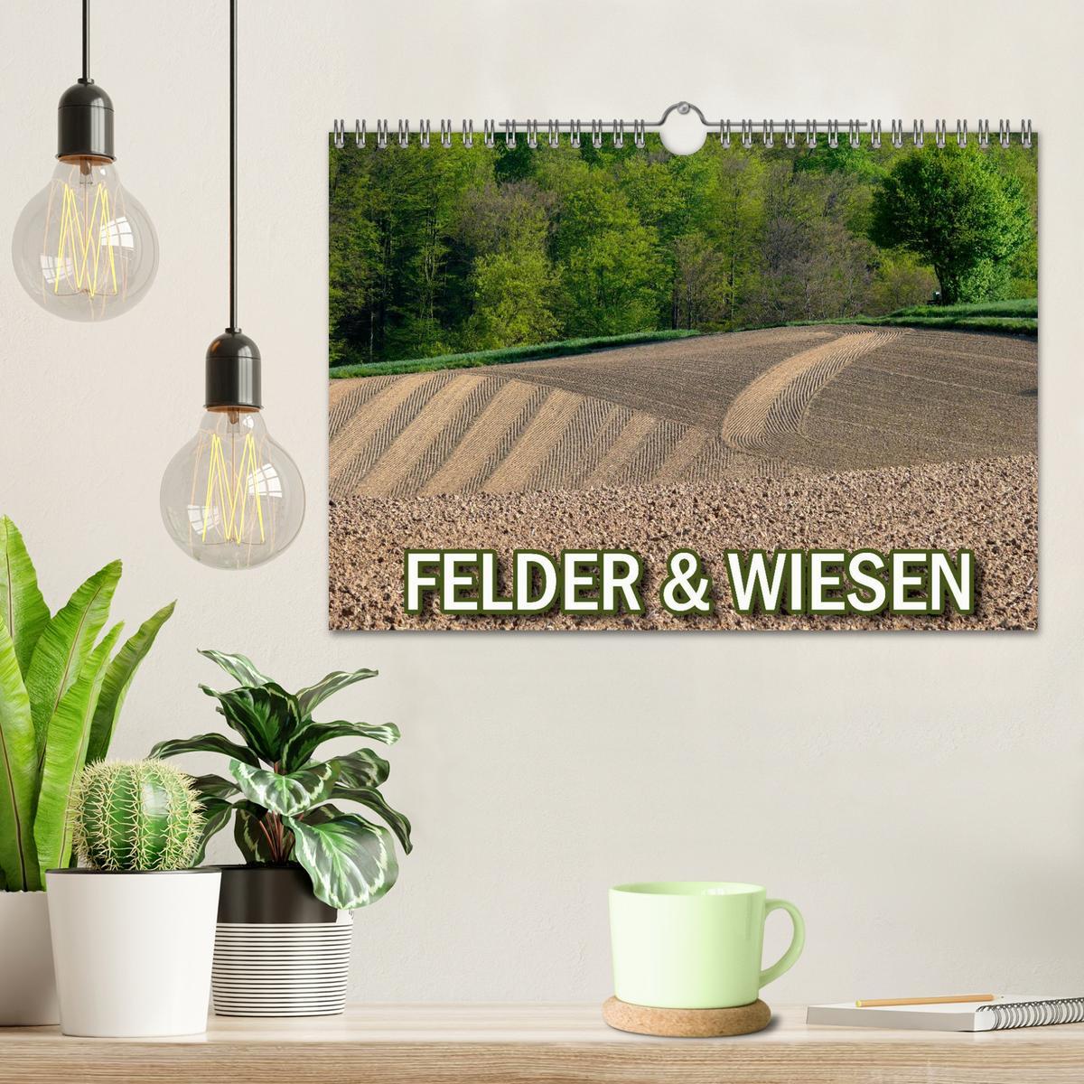 Bild: 9783435780471 | Felder und Wiesen (Wandkalender 2025 DIN A4 quer), CALVENDO...