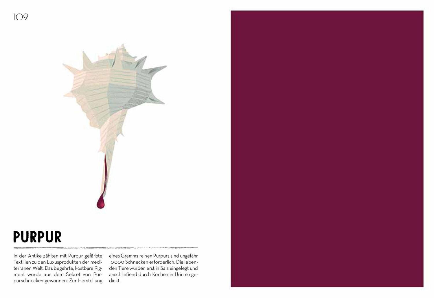 Bild: 9783791373270 | COLORAMA (dt.) Das Buch der Farben | Cruschiform | Buch | 280 S.