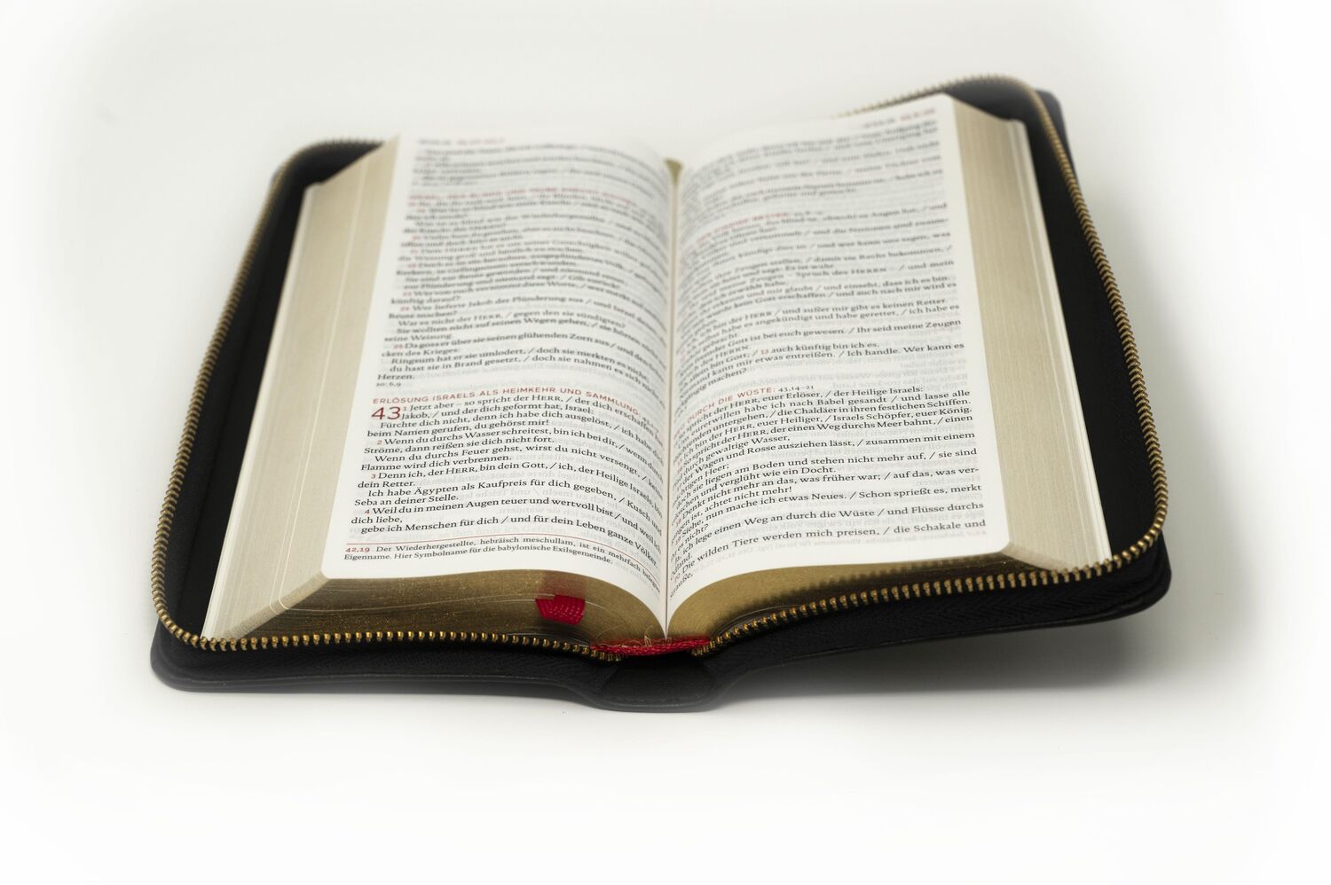 Bild: 9783460440494 | Die Bibel. Taschenausgabe nobilis Echtleder mit Reißverschluss | Buch