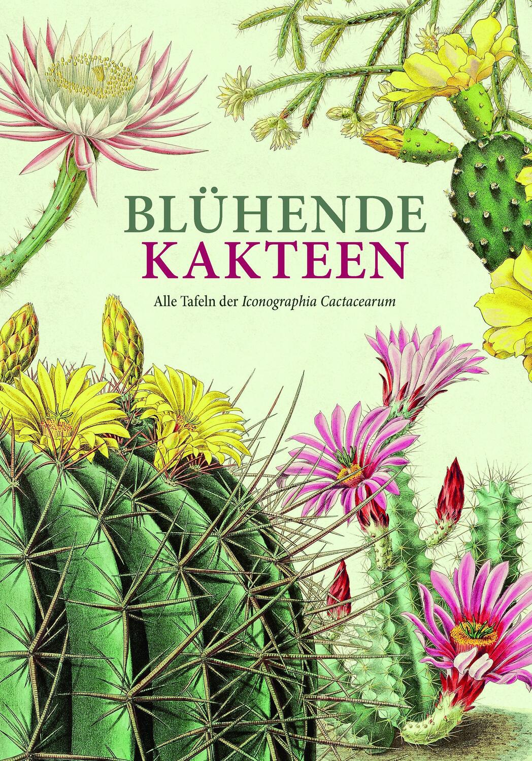Cover: 9783968490519 | Blühende Kakteen | Karl Schumann | Buch | 192 S. | Deutsch | 2022