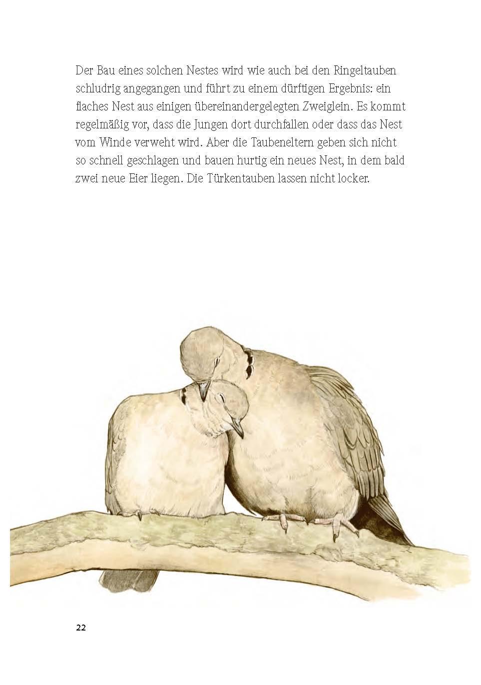Bild: 9783895664090 | Vögel und die Liebe | Elvira Werkman | Buch | 128 S. | Deutsch | 2020