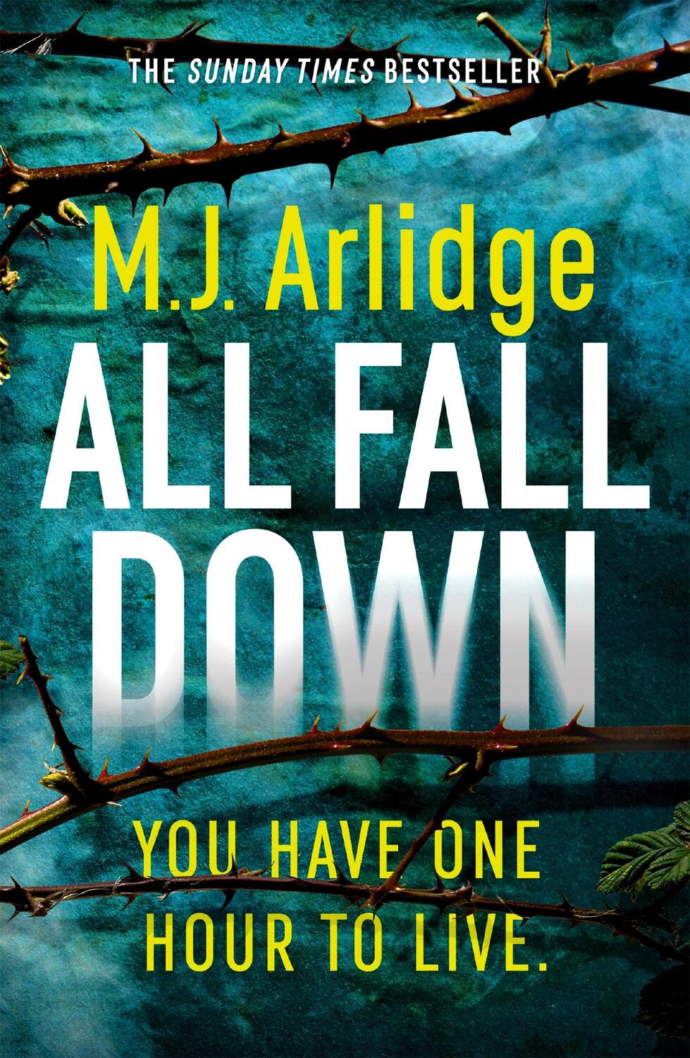Cover: 9781409188421 | All Fall Down | The Gripping D.I. Helen Grace Thriller | M. J. Arlidge