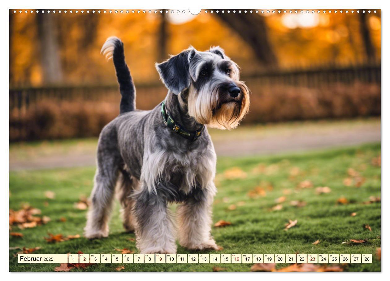 Bild: 9783457037423 | Schnauzer - vielseitige Allrounder (Wandkalender 2025 DIN A2 quer),...