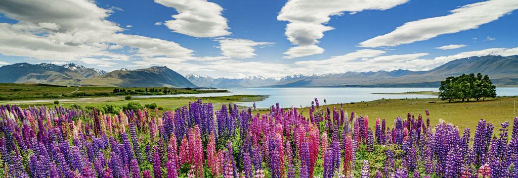 Bild: 4001689299026 | Lake Tekapo. Puzzle 1000 Teile | Heye | Spiel | 1000 Teile Puzzle Heye