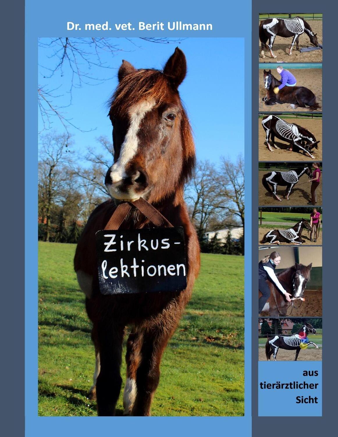 Cover: 9783744894241 | Zirkuslektionen | aus tierärztlicher Sicht | Berit Ullmann | Buch