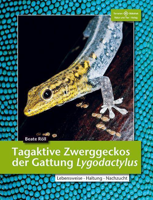 Cover: 9783866592278 | Tagaktive Zweggeckos der Gattung Lygodactylus | Beate Röll | Buch