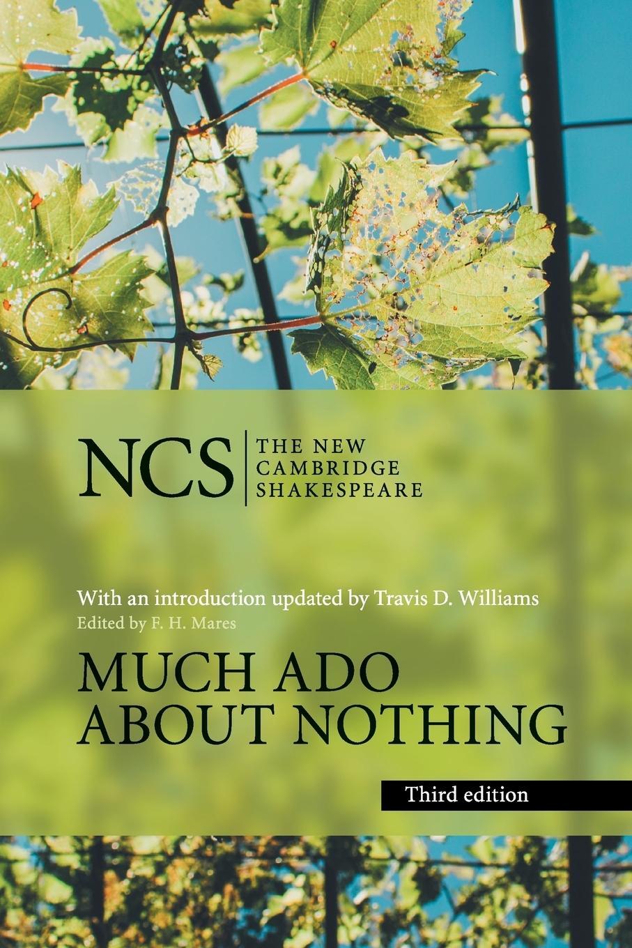 Cover: 9781316626733 | Much Ado About Nothing | William Shakespeare | Taschenbuch | Paperback