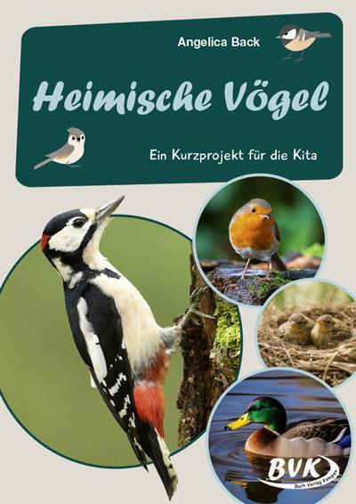 Cover: 9783965201743 | Heimische Vögel - | Ein Kurzprojekt für die Kita | Angelica Back