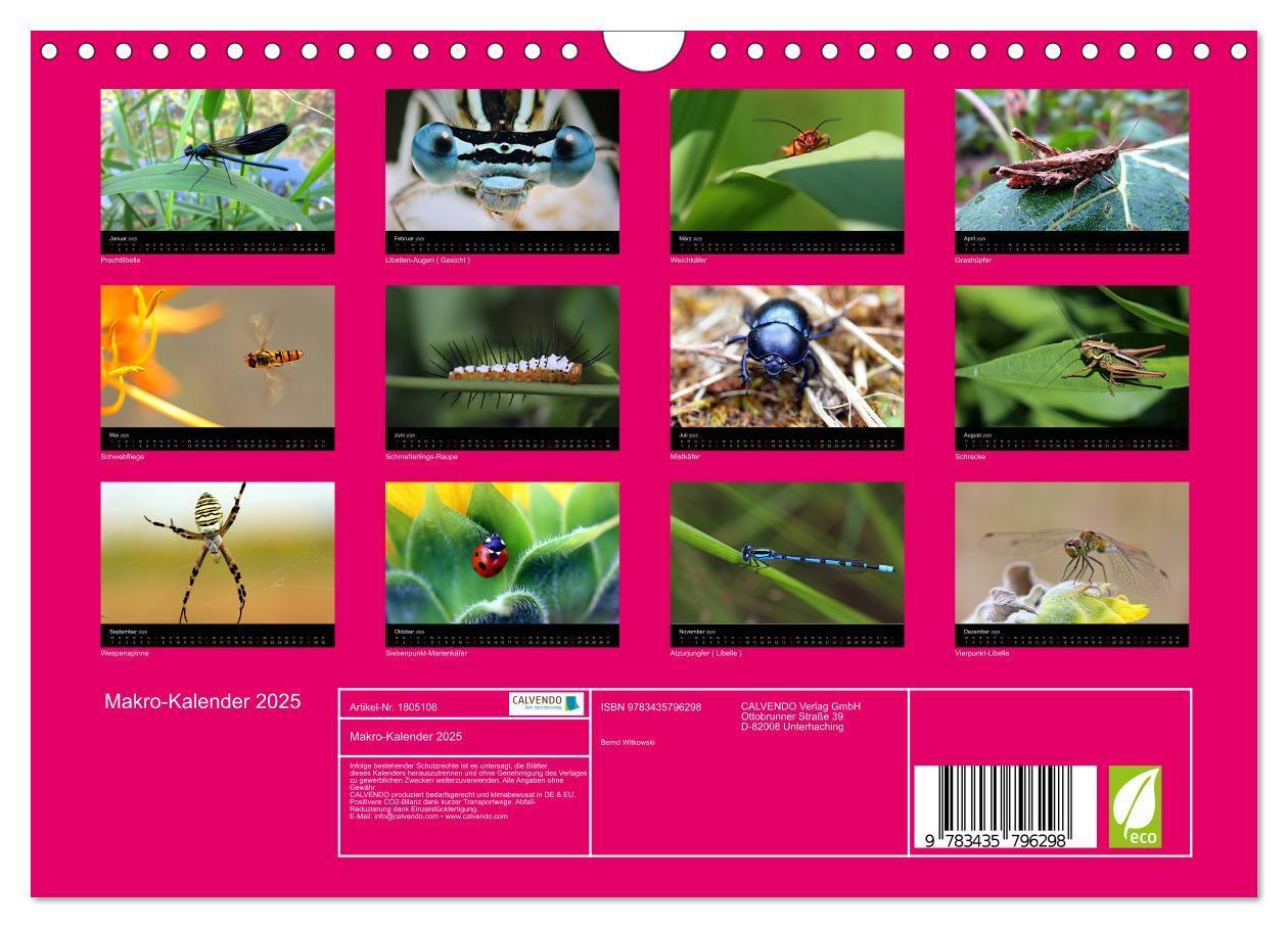 Bild: 9783435796298 | Makro-Kalender 2025 (Wandkalender 2025 DIN A4 quer), CALVENDO...