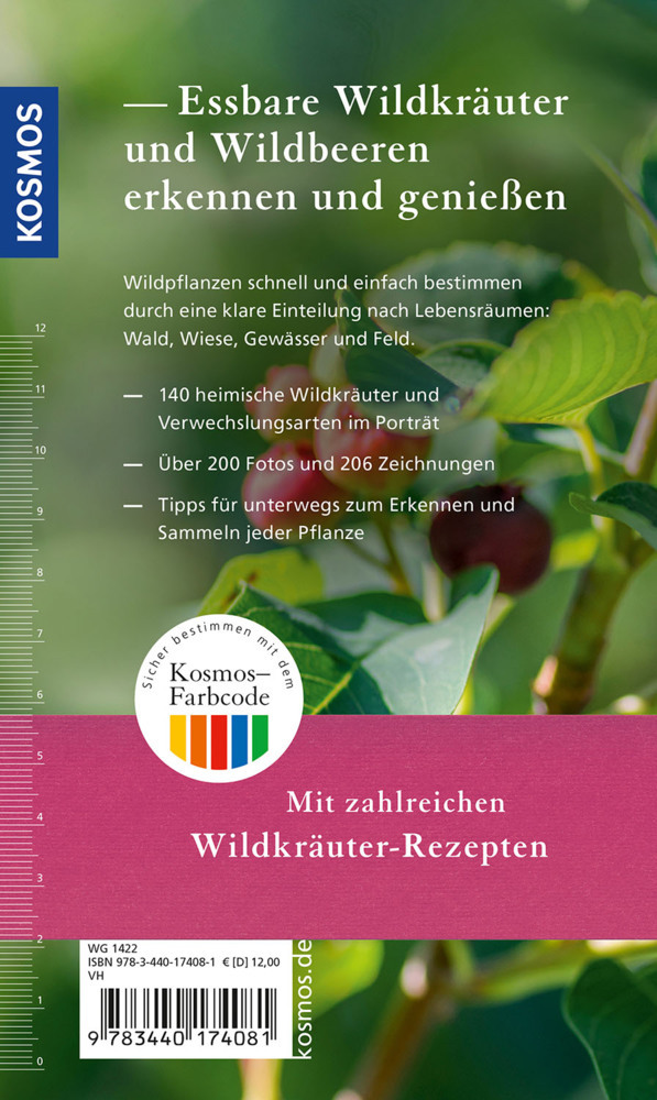 Bild: 9783440174081 | Essbare Wildkräuter und Wildbeeren für unterwegs | Rudi Beiser | Buch