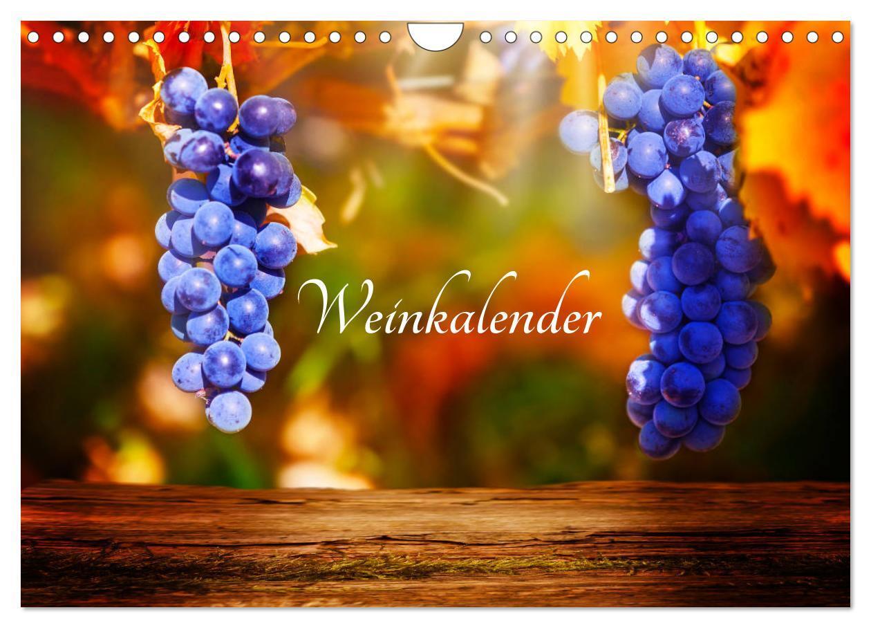 Cover: 9783383192081 | Weinkalender (Wandkalender 2024 DIN A4 quer), CALVENDO Monatskalender