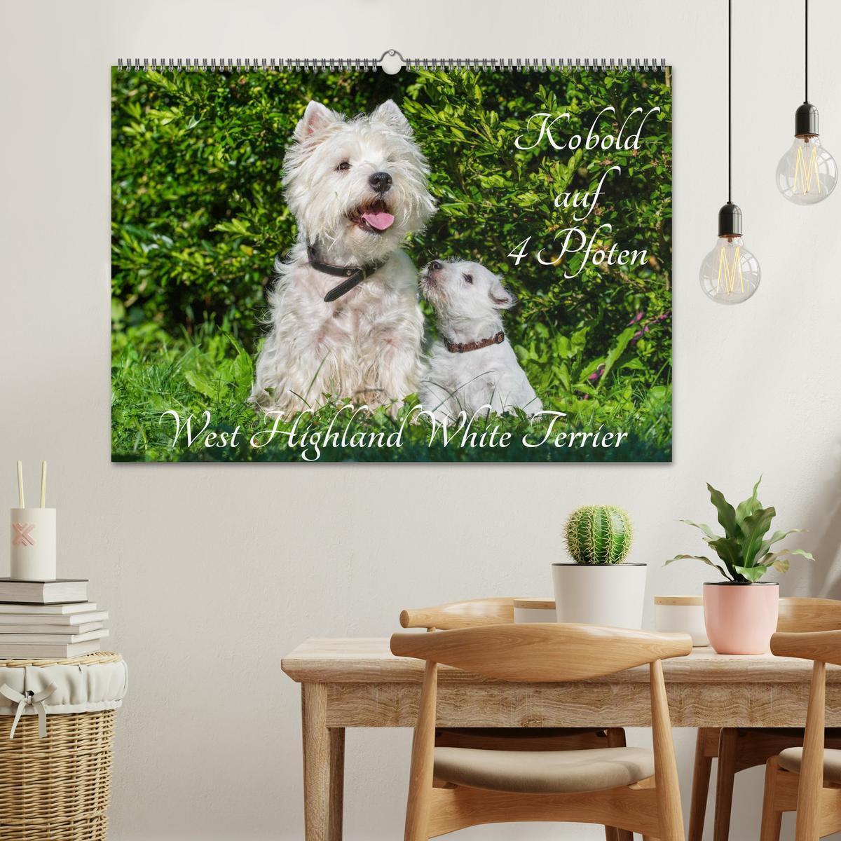 Bild: 9783435462186 | Kobold auf 4 Pfoten - West Highland White Terrier (Wandkalender...