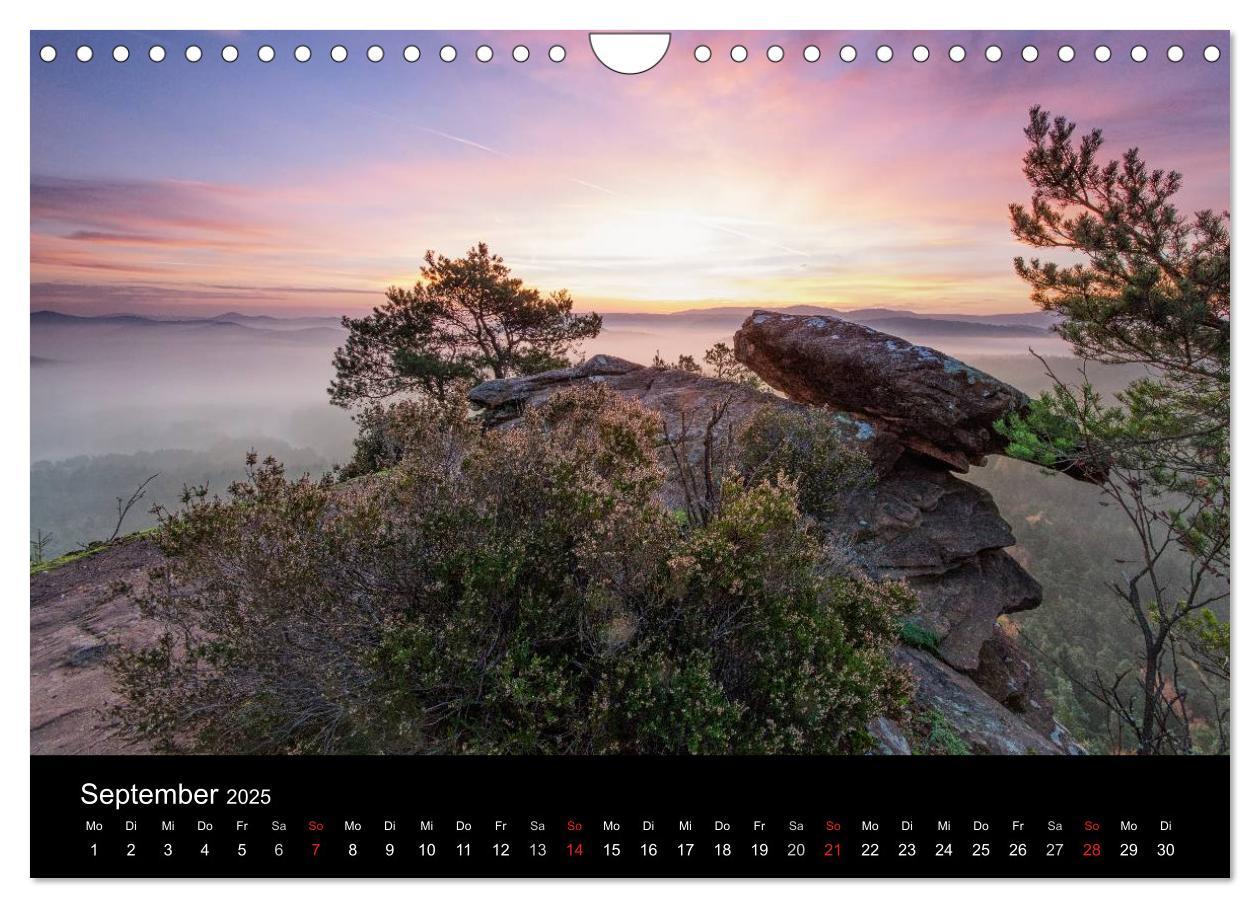 Bild: 9783435592883 | Mystischer Pfälzer Wald (Wandkalender 2025 DIN A4 quer), CALVENDO...