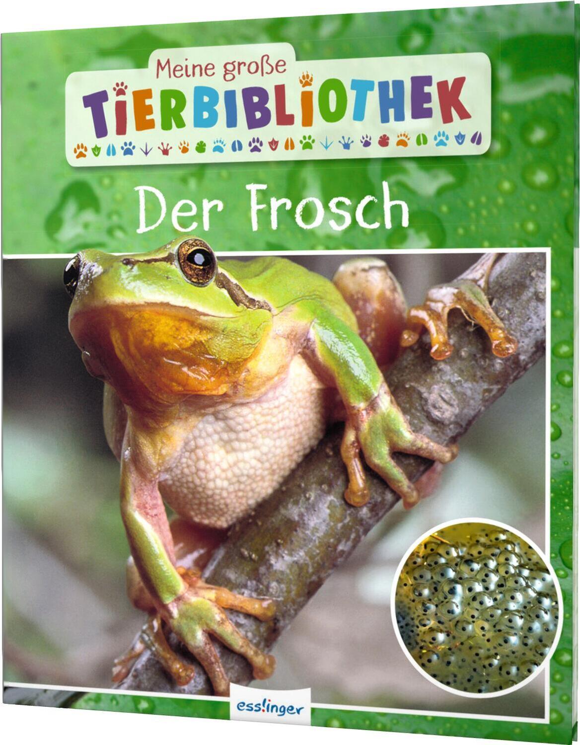 Cover: 9783480236244 | Meine große Tierbibliothek: Der Frosch | Paul Starosta | Buch | 32 S.