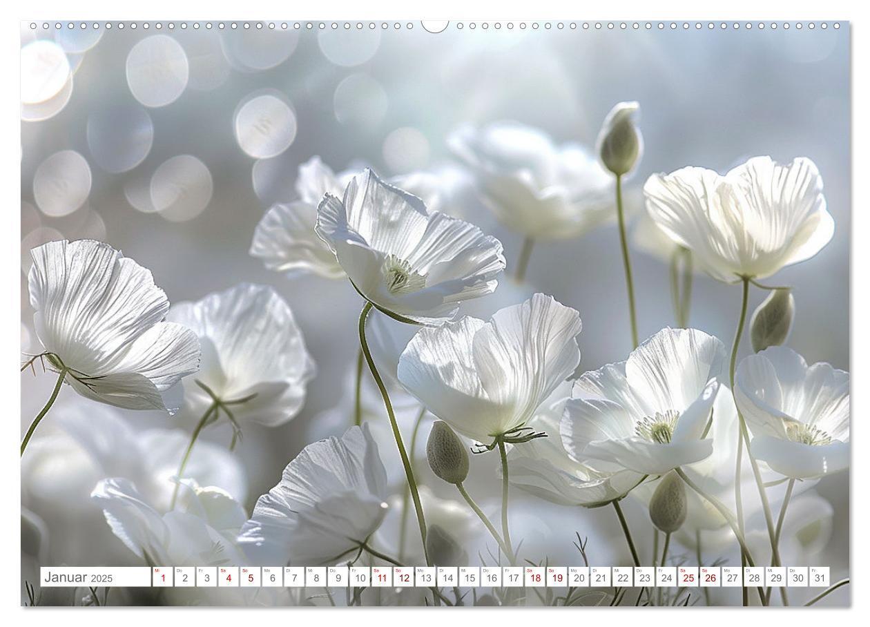 Bild: 9783383814655 | Bezaubernde Mohnblumen (hochwertiger Premium Wandkalender 2025 DIN...