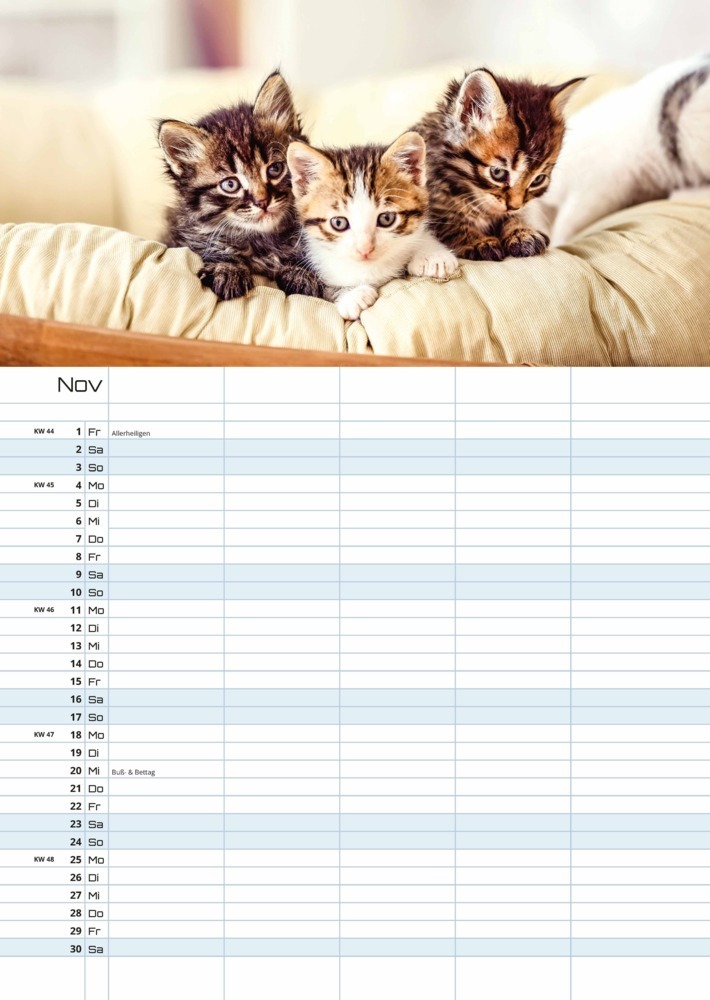 Bild: 9783986732264 | Miau Kids - kleine Tiger ganz groß - Der Katzenkalender - 2024 -...