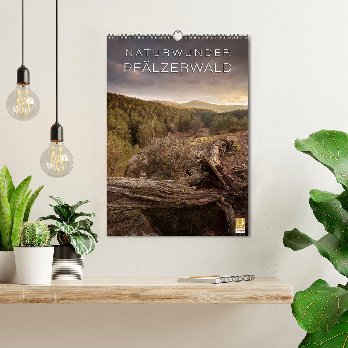 Bild: 9783457039168 | NATURWUNDER PFÄLZERWALD (Wandkalender 2025 DIN A3 hoch), CALVENDO...