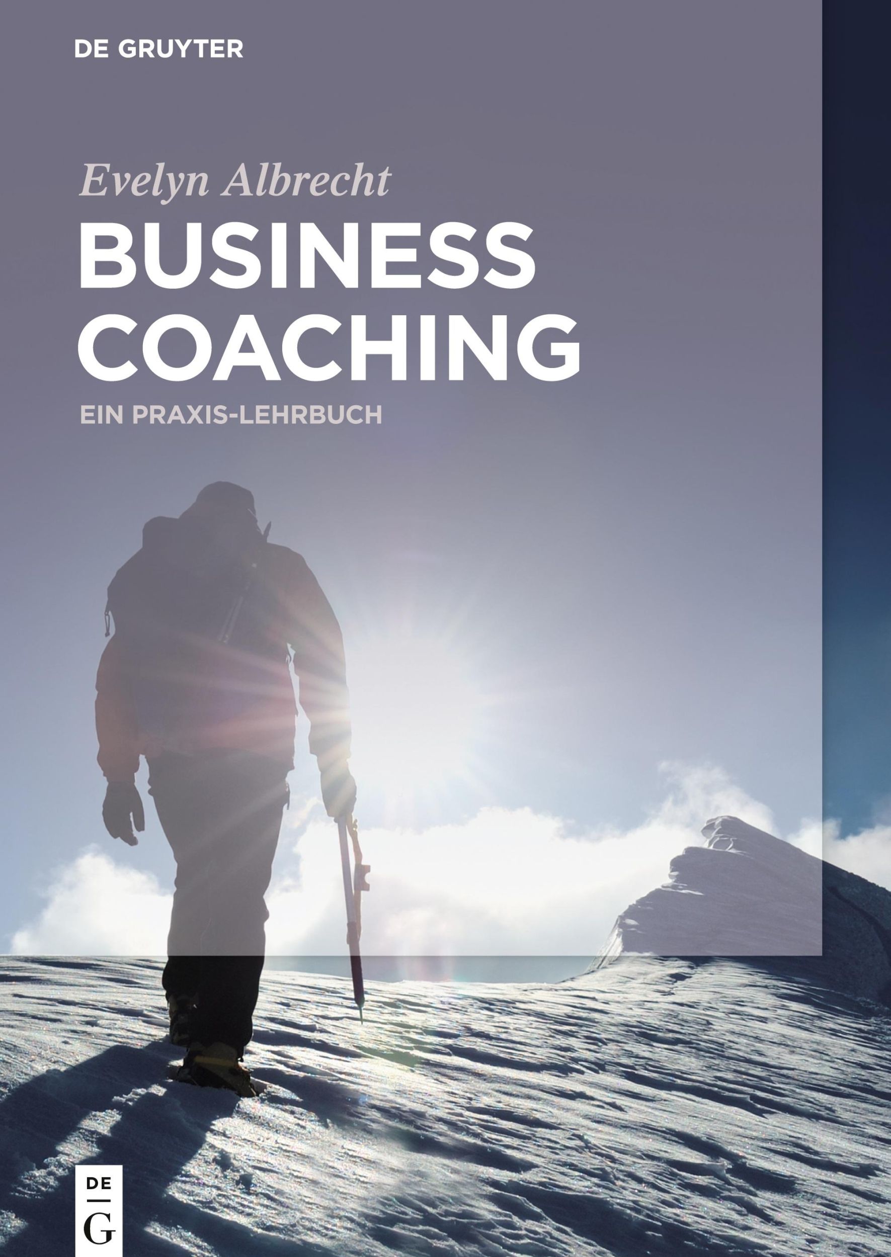 Cover: 9783110342505 | Business Coaching | Ein Praxis-Lehrbuch | Evelyn Albrecht | Buch