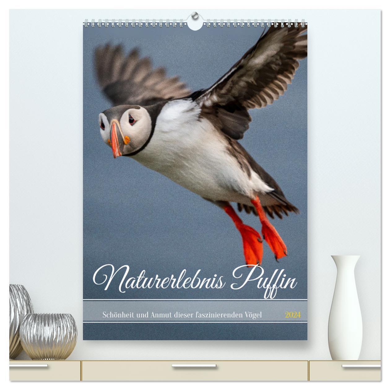 Cover: 9783383730016 | Naturerlebnis Puffin (hochwertiger Premium Wandkalender 2024 DIN A2...