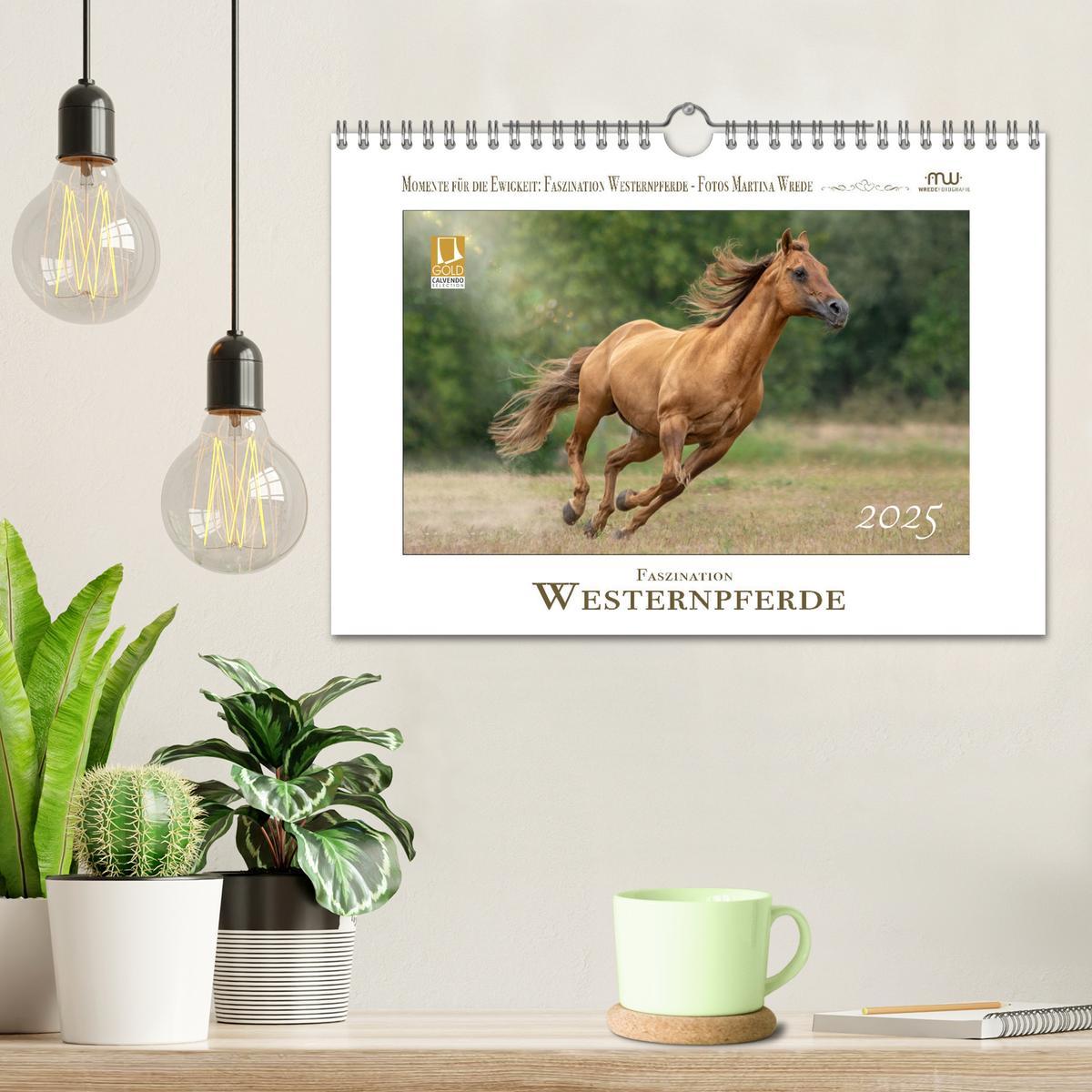 Bild: 9783435087747 | Faszination Westernpferde (Wandkalender 2025 DIN A4 quer), CALVENDO...