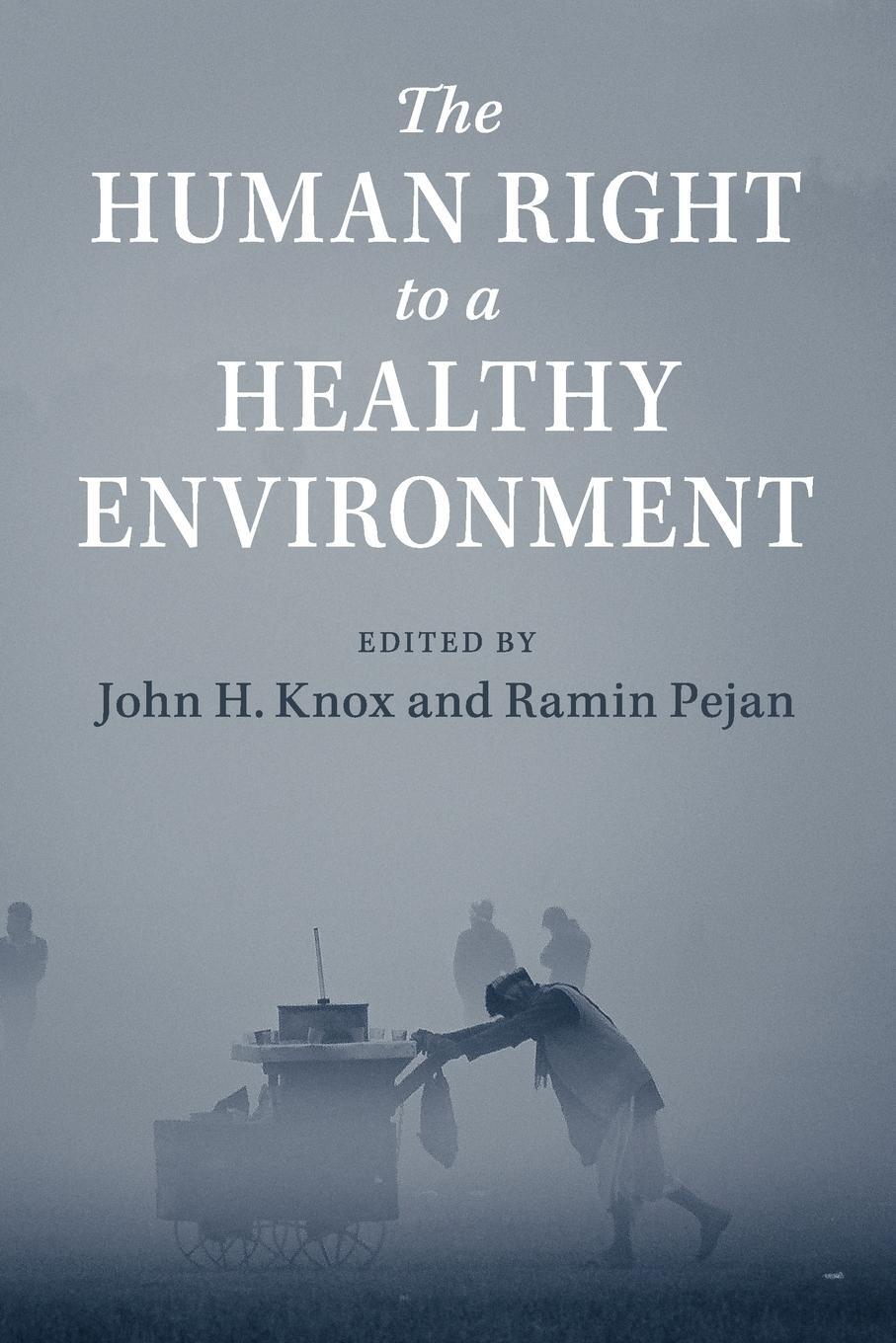 Cover: 9781108431583 | The Human Right to a Healthy Environment | Ramin Pejan | Taschenbuch