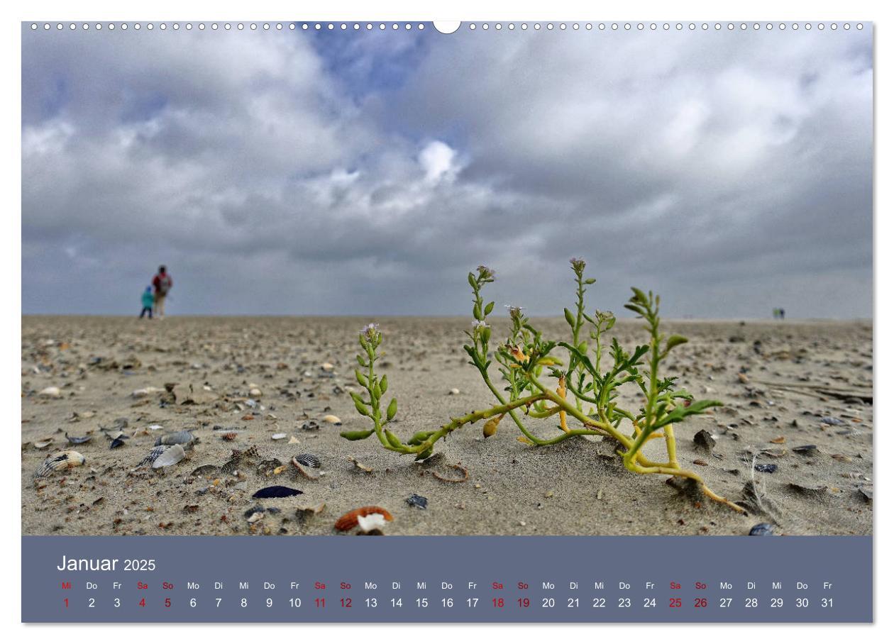 Bild: 9783435418954 | Norderney - Meine Trauminsel (Wandkalender 2025 DIN A2 quer),...