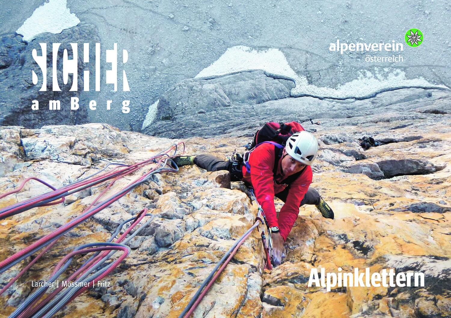 Cover: 9783702240011 | Sicher am Berg: Alpinklettern | Michael Larcher (u. a.) | Taschenbuch