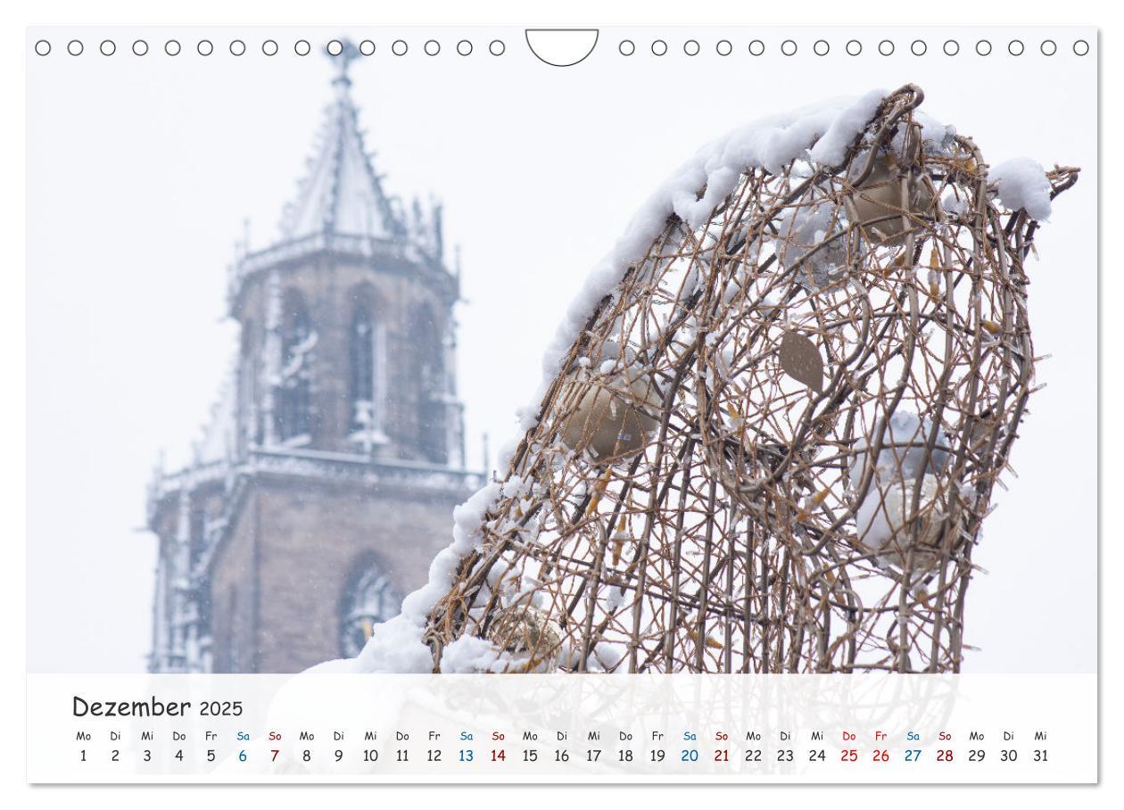 Bild: 9783383921605 | Typisch Magdeburg (Wandkalender 2025 DIN A4 quer), CALVENDO...