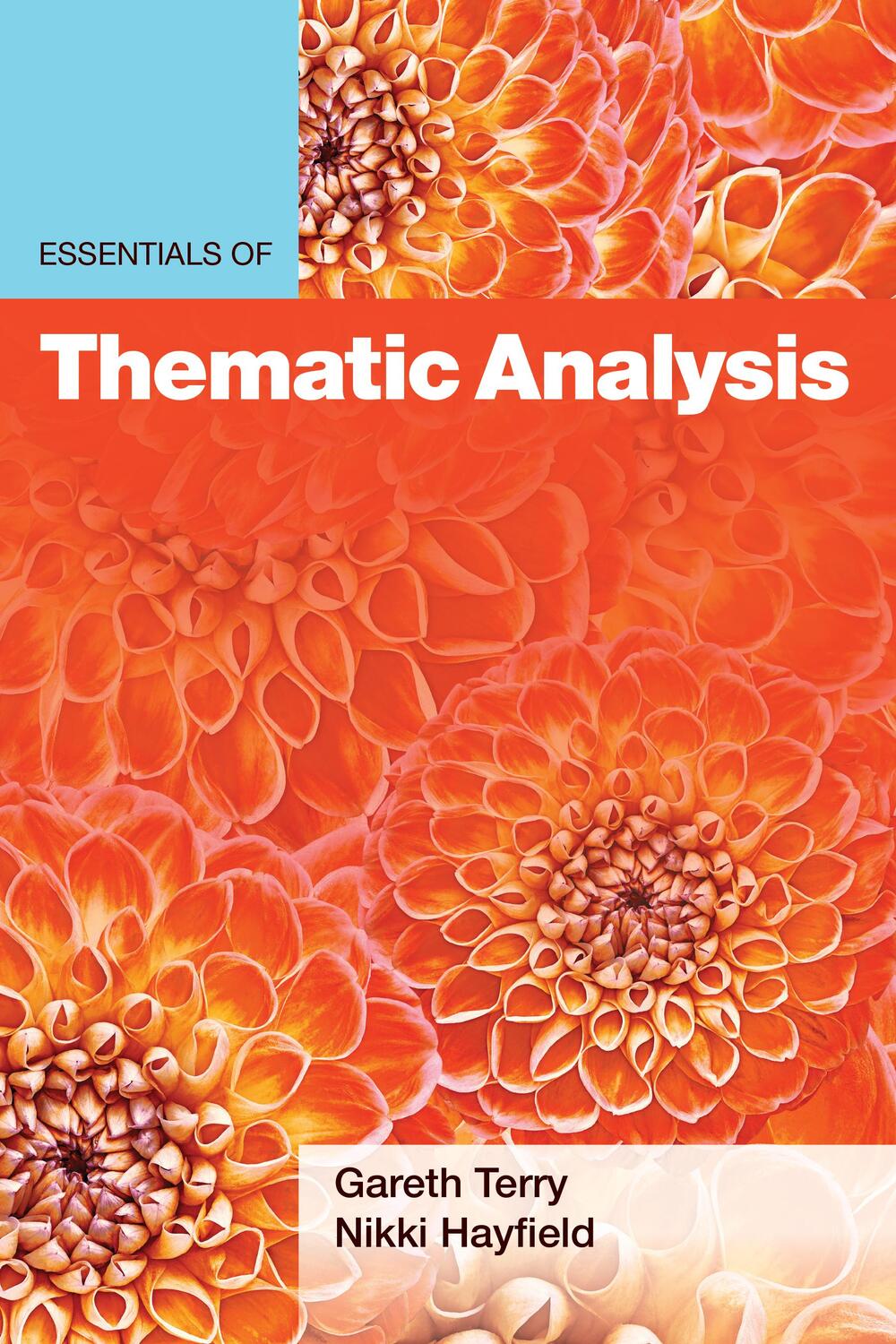 Cover: 9781433835575 | Essentials of Thematic Analysis | Gareth Terry (u. a.) | Taschenbuch