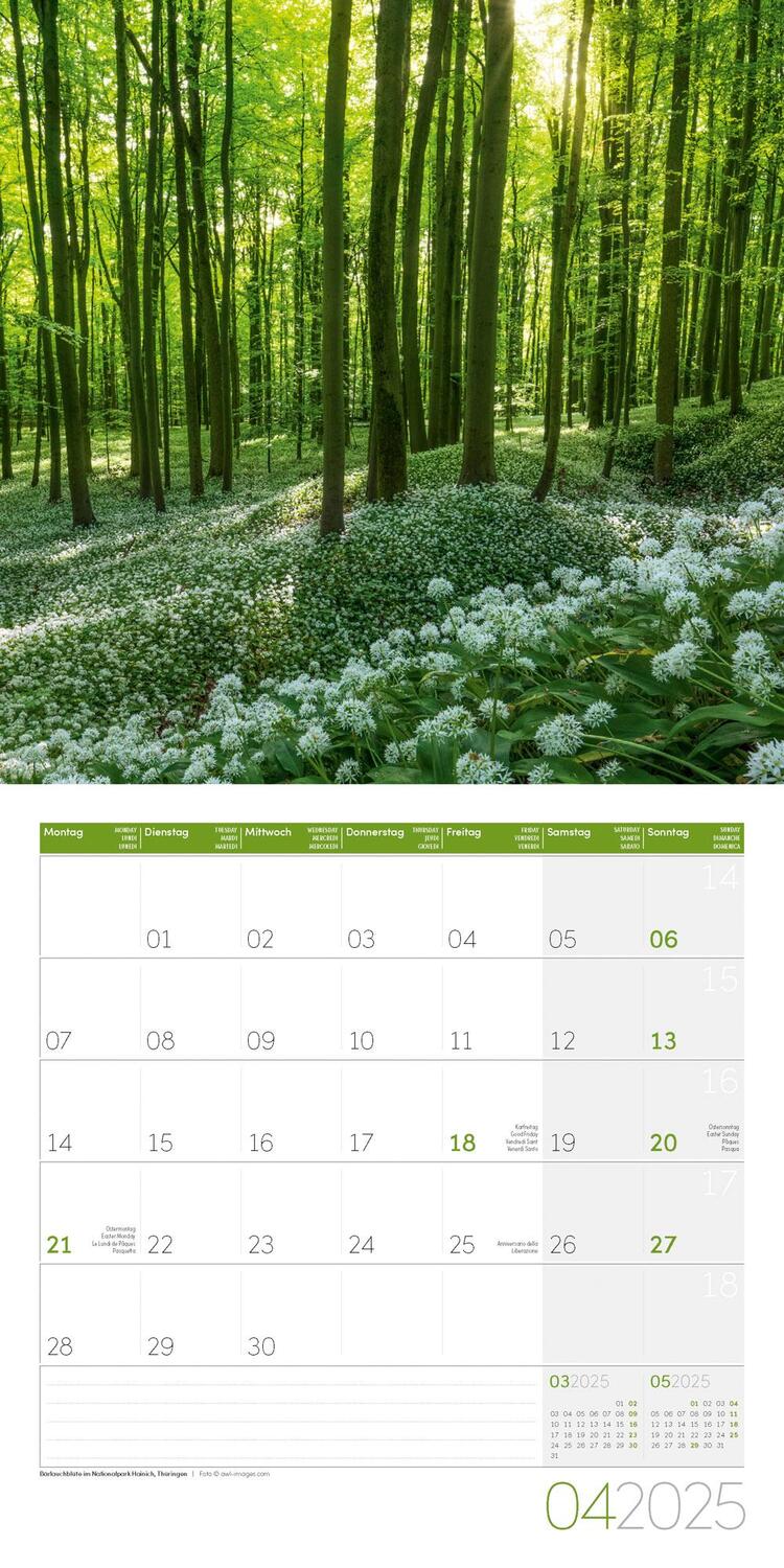 Bild: 9783838445076 | Naturwunder Deutschland Kalender 2025 - 30x30 | Ackermann Kunstverlag