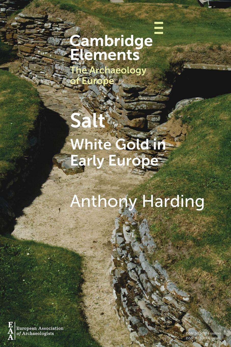 Cover: 9781009017640 | Salt | Anthony Harding | Taschenbuch | Paperback | Englisch | 2021