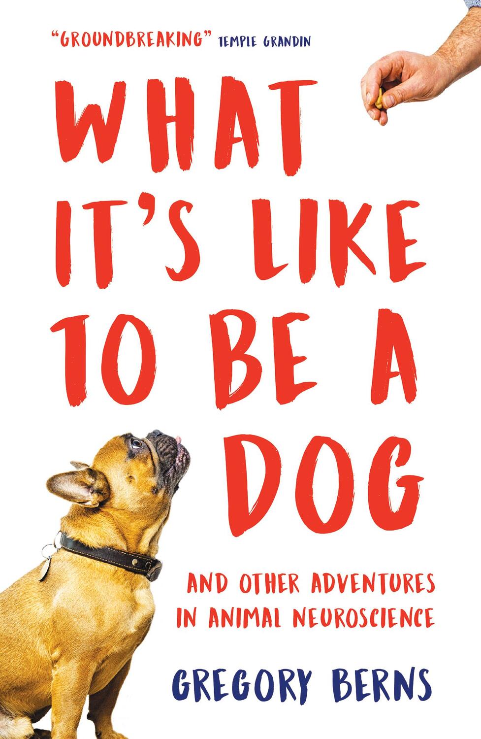 Cover: 9781786074898 | What It's Like to Be a Dog | Gregory Berns | Taschenbuch | Englisch