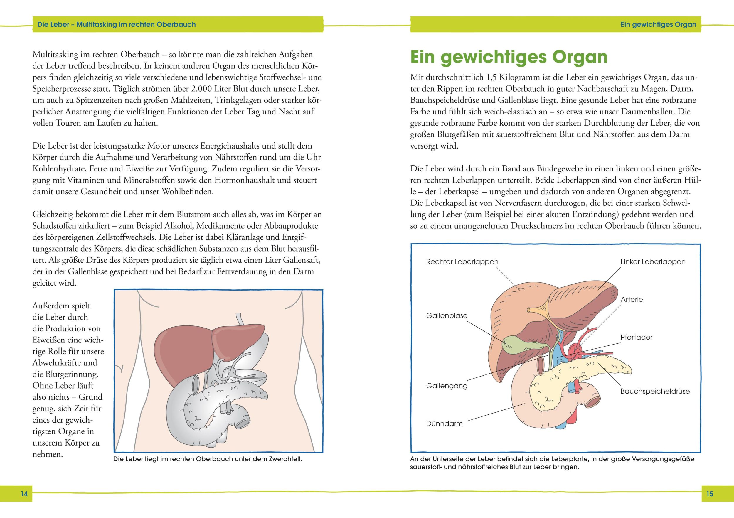 Bild: 9783517095448 | So kriegt die Leber ihr Fett weg! | Julia Seiderer-Nack | Taschenbuch