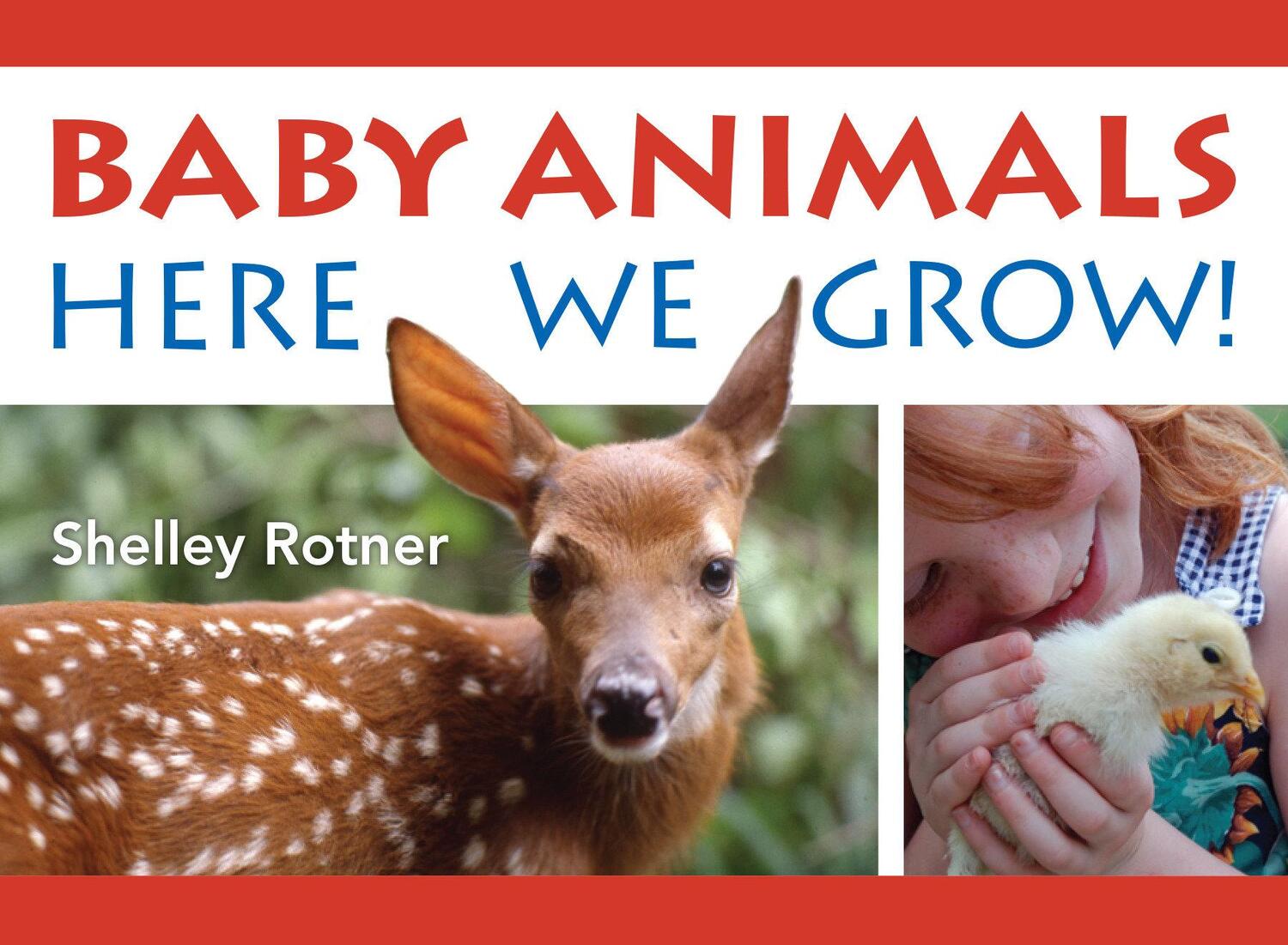Cover: 9780823456833 | Baby Animals! | Here We Grow | Shelley Rotner | Buch | Englisch | 2024