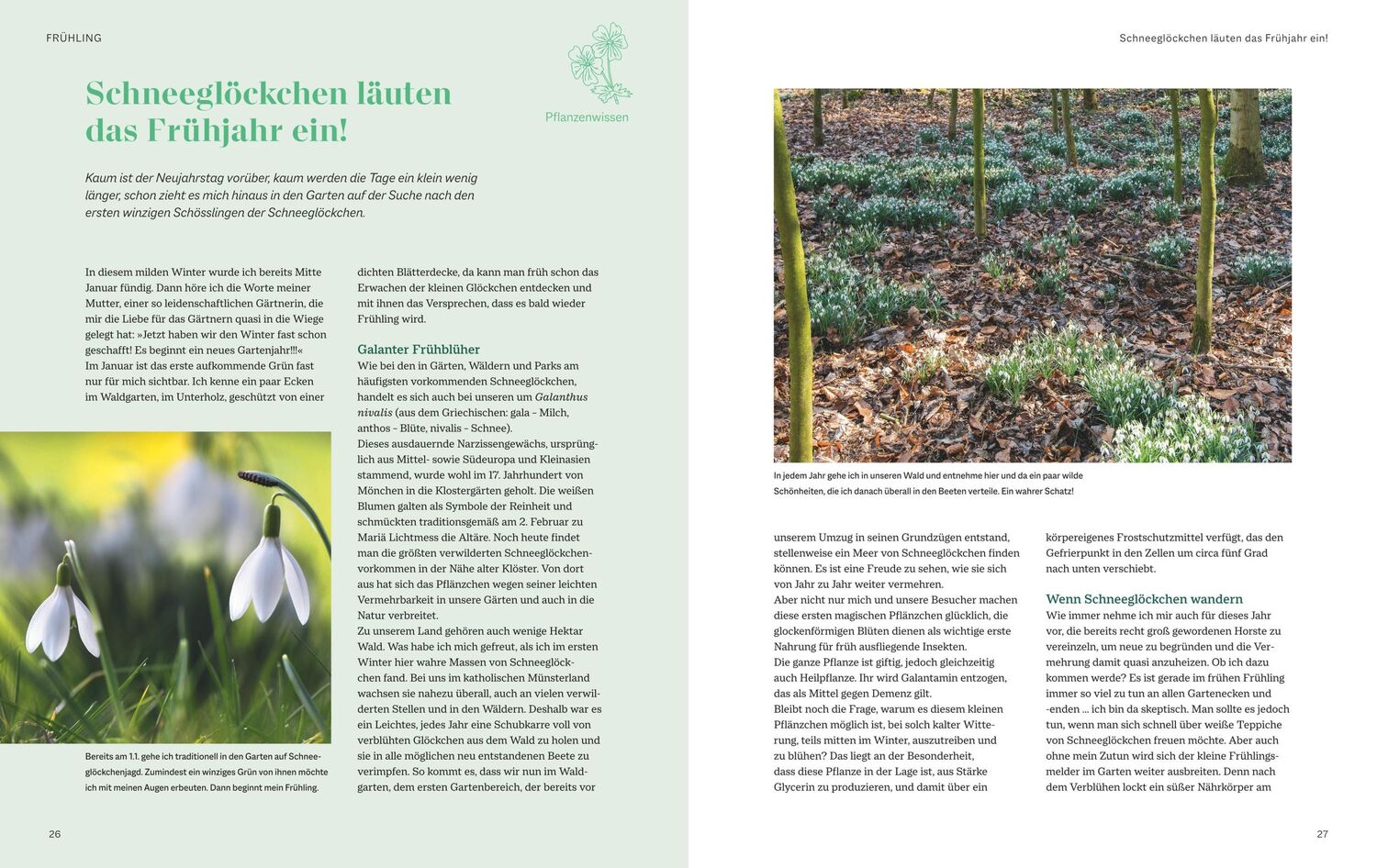 Bild: 9783967471137 | Ein Jahr in unserem Landgarten | Cristine Bendix | Buch | 288 S. | BLV