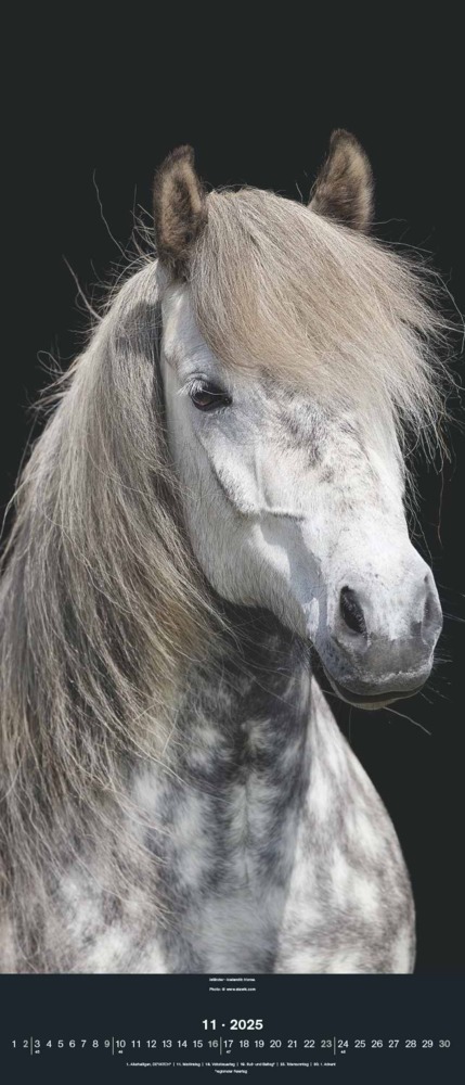 Bild: 4002725994202 | N NEUMANNVERLAGE - Beautiful Horses 2025 Wandkalender, 30x70cm,...