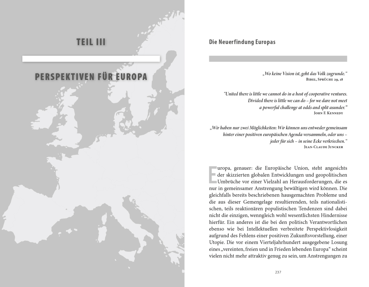 Bild: 9783710603013 | Europa vor der Entscheidung | Hannes Androsch (u. a.) | Buch | 340 S.