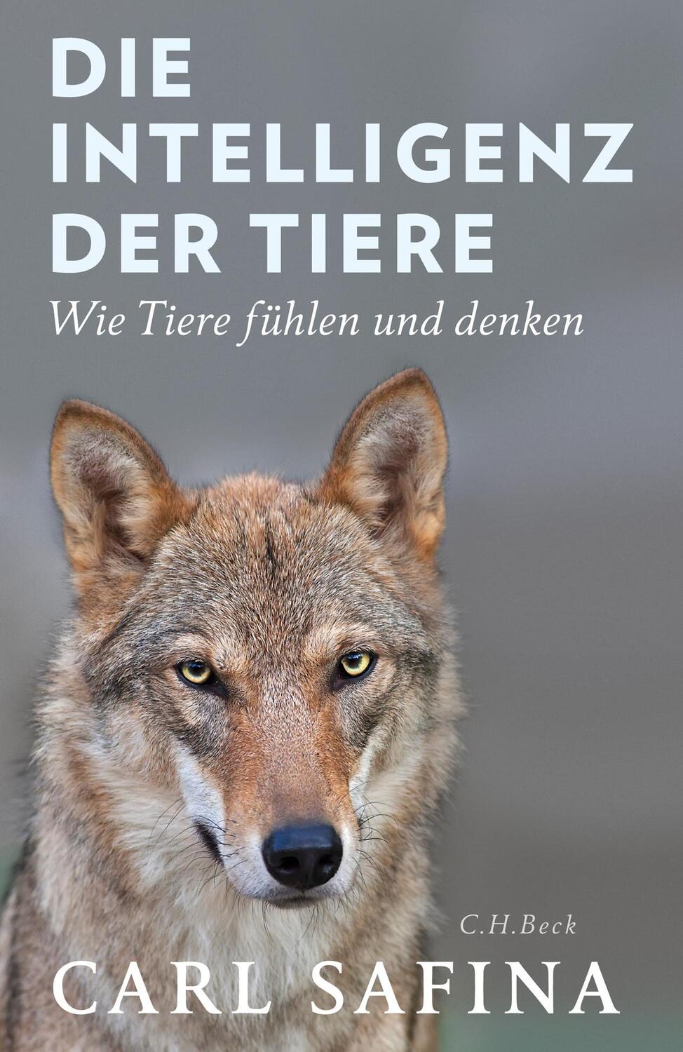 Cover: 9783406707902 | Die Intelligenz der Tiere | Wie Tiere fühlen und denken | Carl Safina