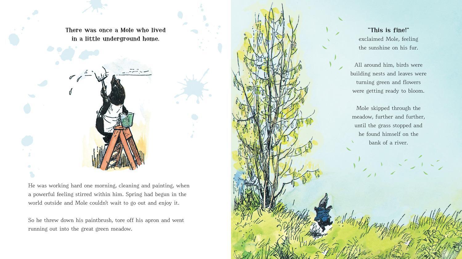Bild: 9780755503322 | Wind in the Willows anniversary gift picture book | Grahame (u. a.)