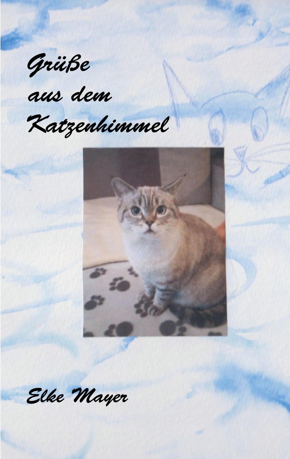 Cover: 9783751952750 | Grüße aus dem Katzenhimmel | Elke Mayer | Taschenbuch | Paperback