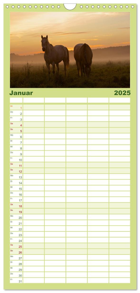 Bild: 9783457111130 | Familienplaner 2025 - Wilde Pferde mit 5 Spalten (Wandkalender, 21...