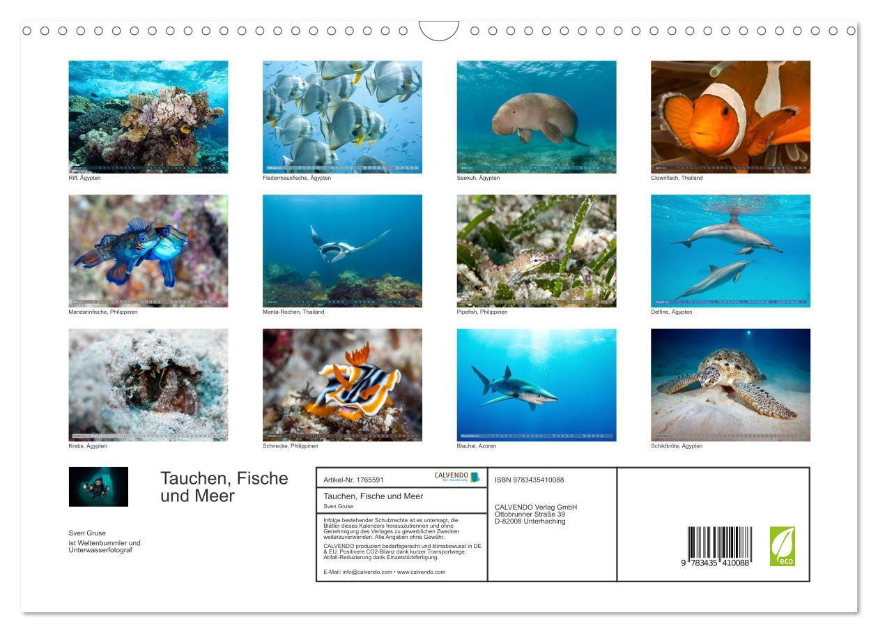 Bild: 9783435410088 | Tauchen, Fische und Meer (Wandkalender 2025 DIN A3 quer), CALVENDO...