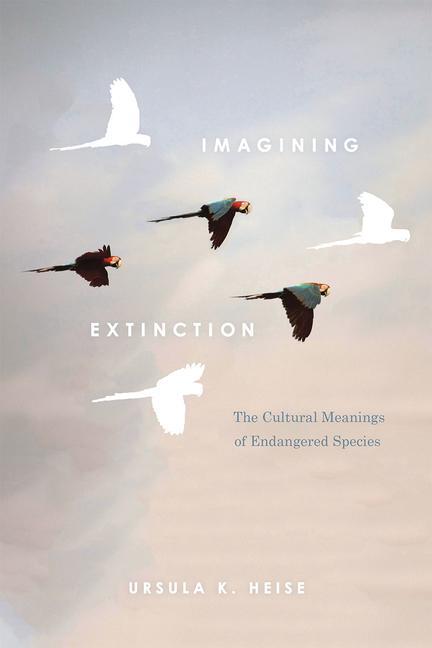 Cover: 9780226358161 | Imagining Extinction | The Cultural Meanings of Endangered Species
