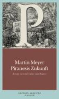 Cover: 9783446234062 | Piranesis Zukunft | Essays zu Literatur und Kunst, Edition Akzente
