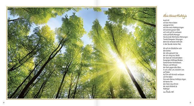 Bild: 9783863381806 | Nach dem Dunkel kommt ein neuer Morgen | Psalm-Meditationen | Hansen